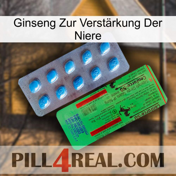 Ginseng Zur Verstärkung Der Niere new03